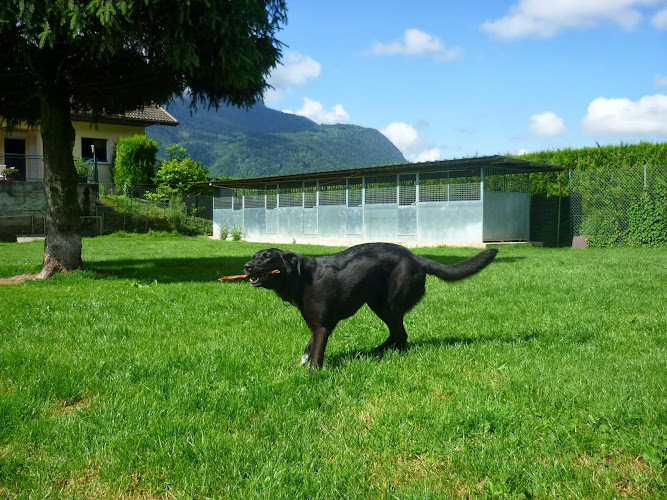 DOG CENTER les Millieres