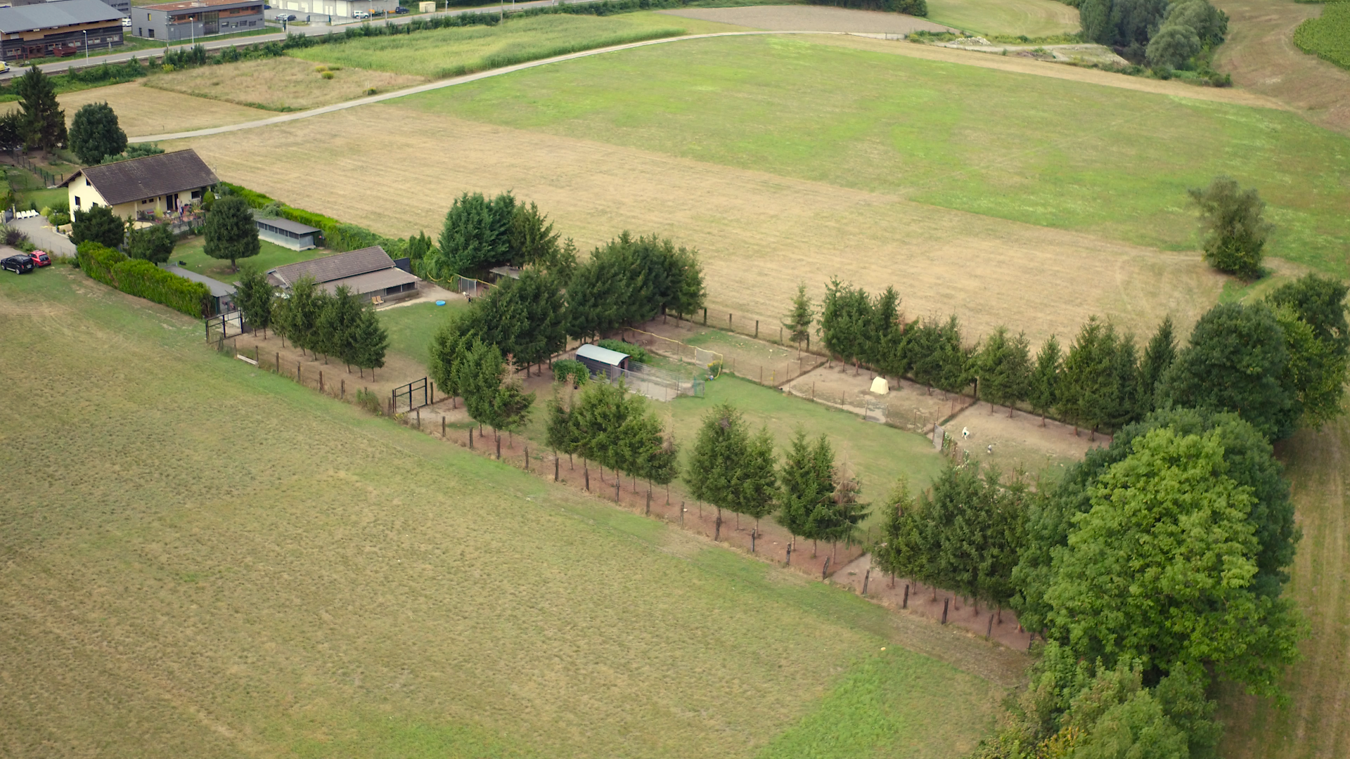 DOG CENTER les Millieres — photo