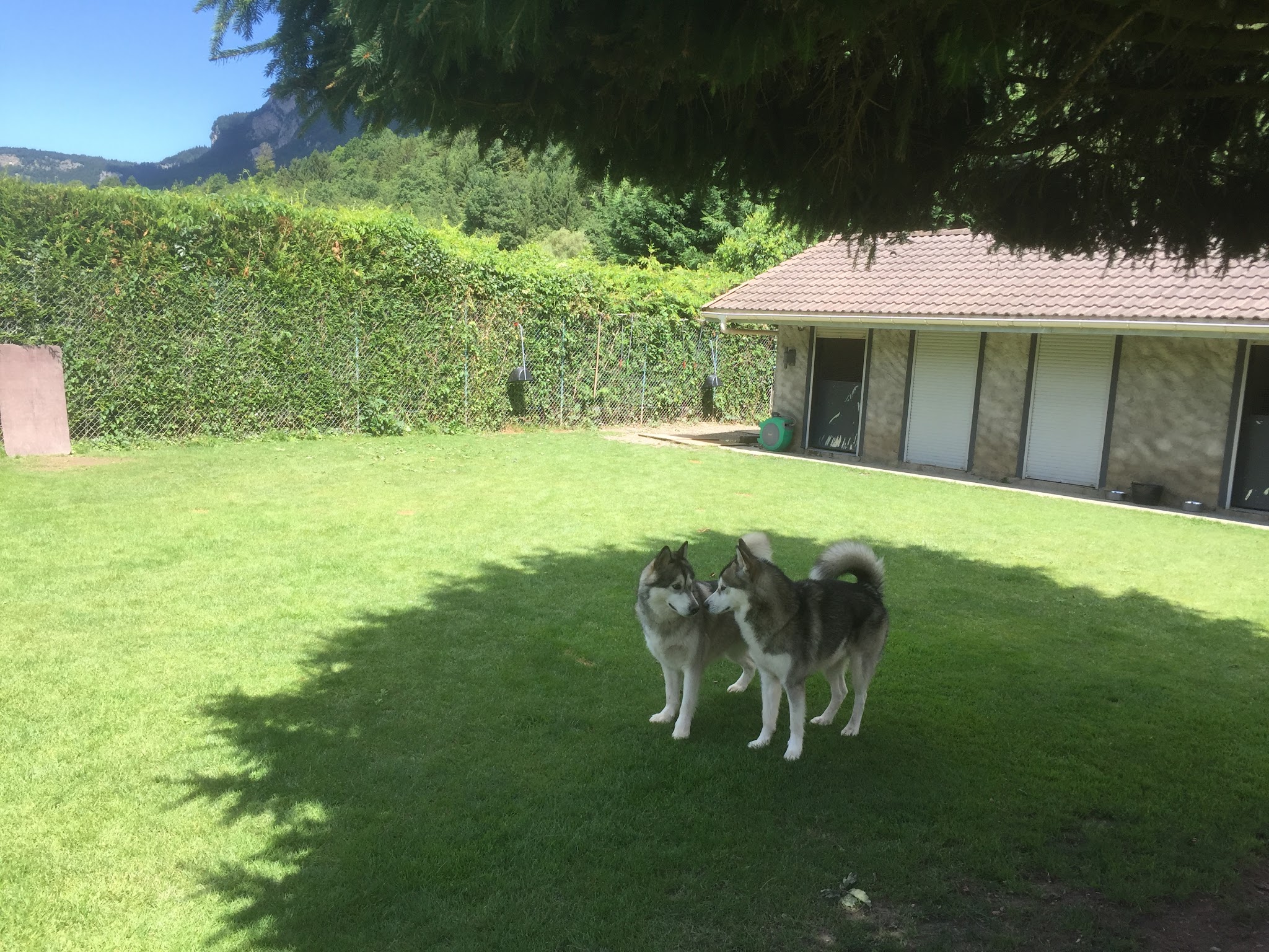 DOG CENTER les Millieres — photo