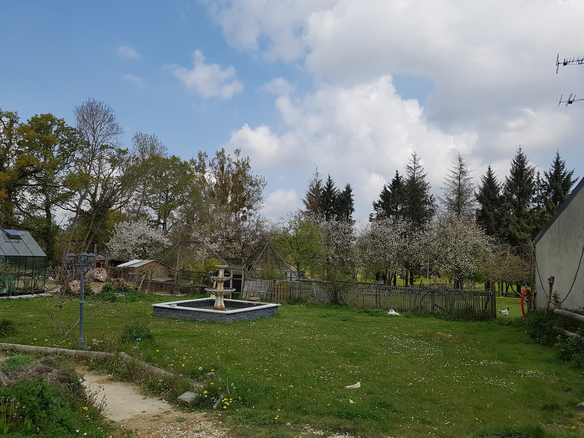 Pension canine des portes — photo