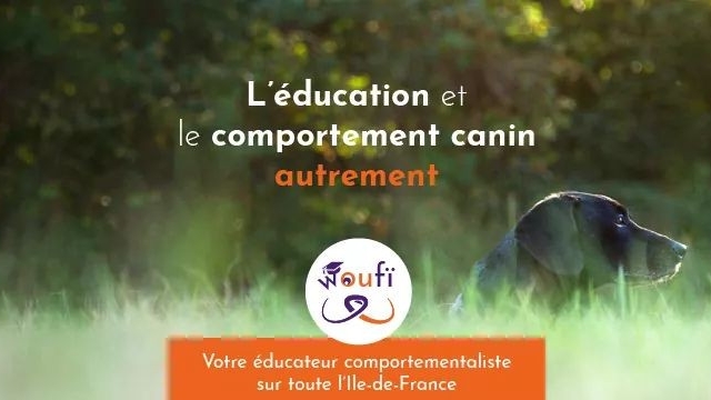 Woufï - Education, Formation & Comportement canin - Val-de-Marne 94