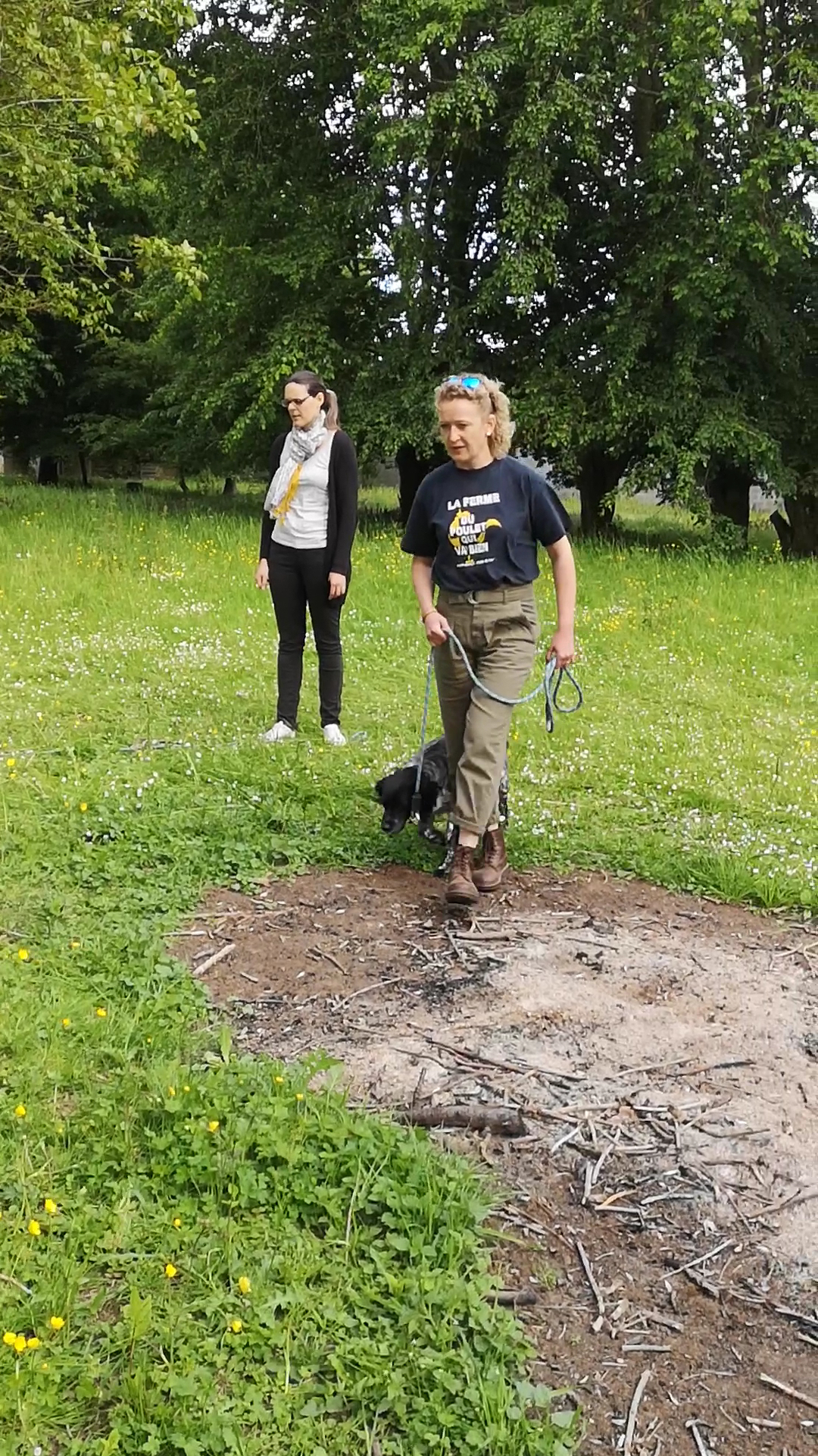 Ben&Dogs — photo