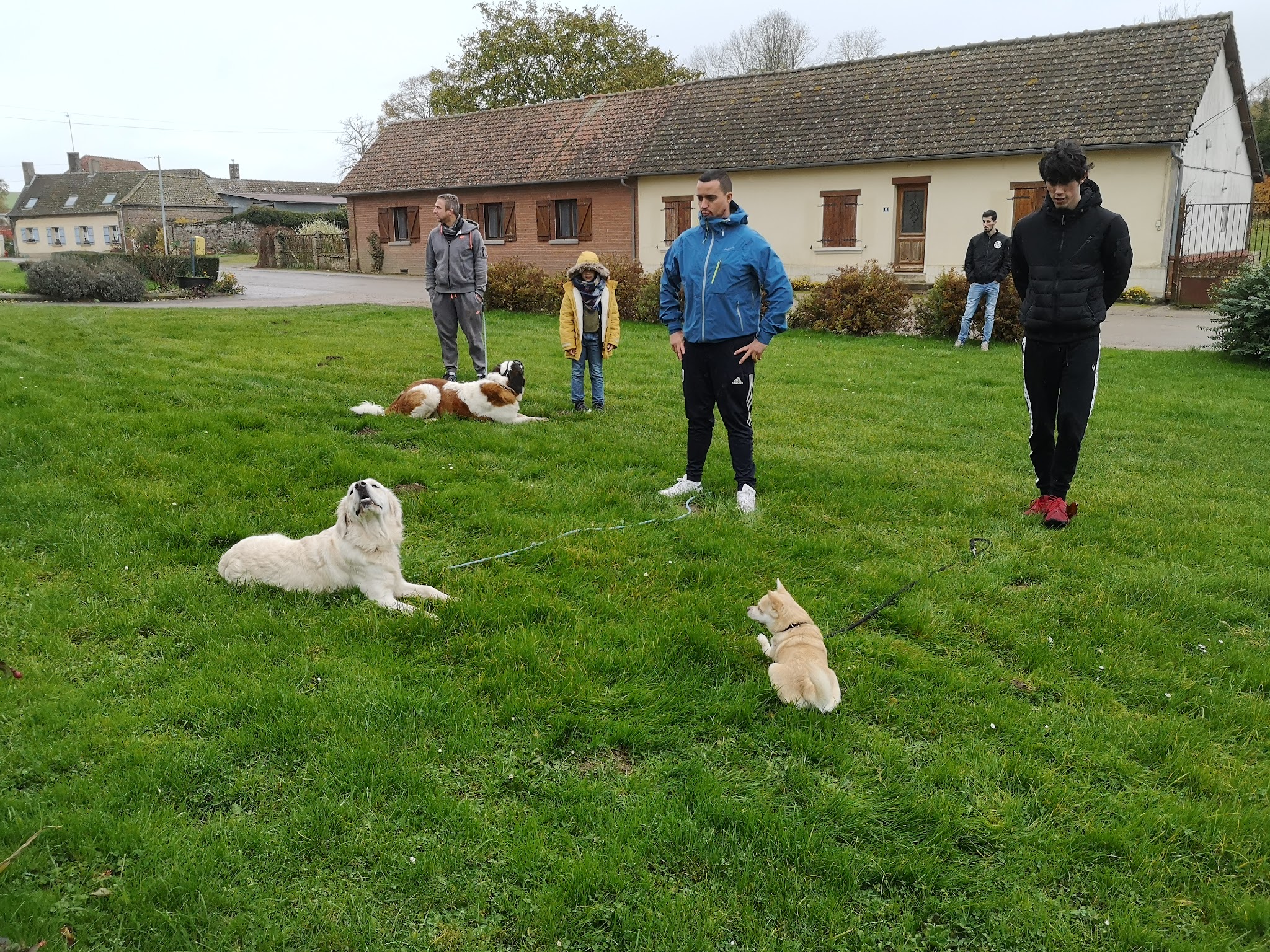 Ben&Dogs — photo