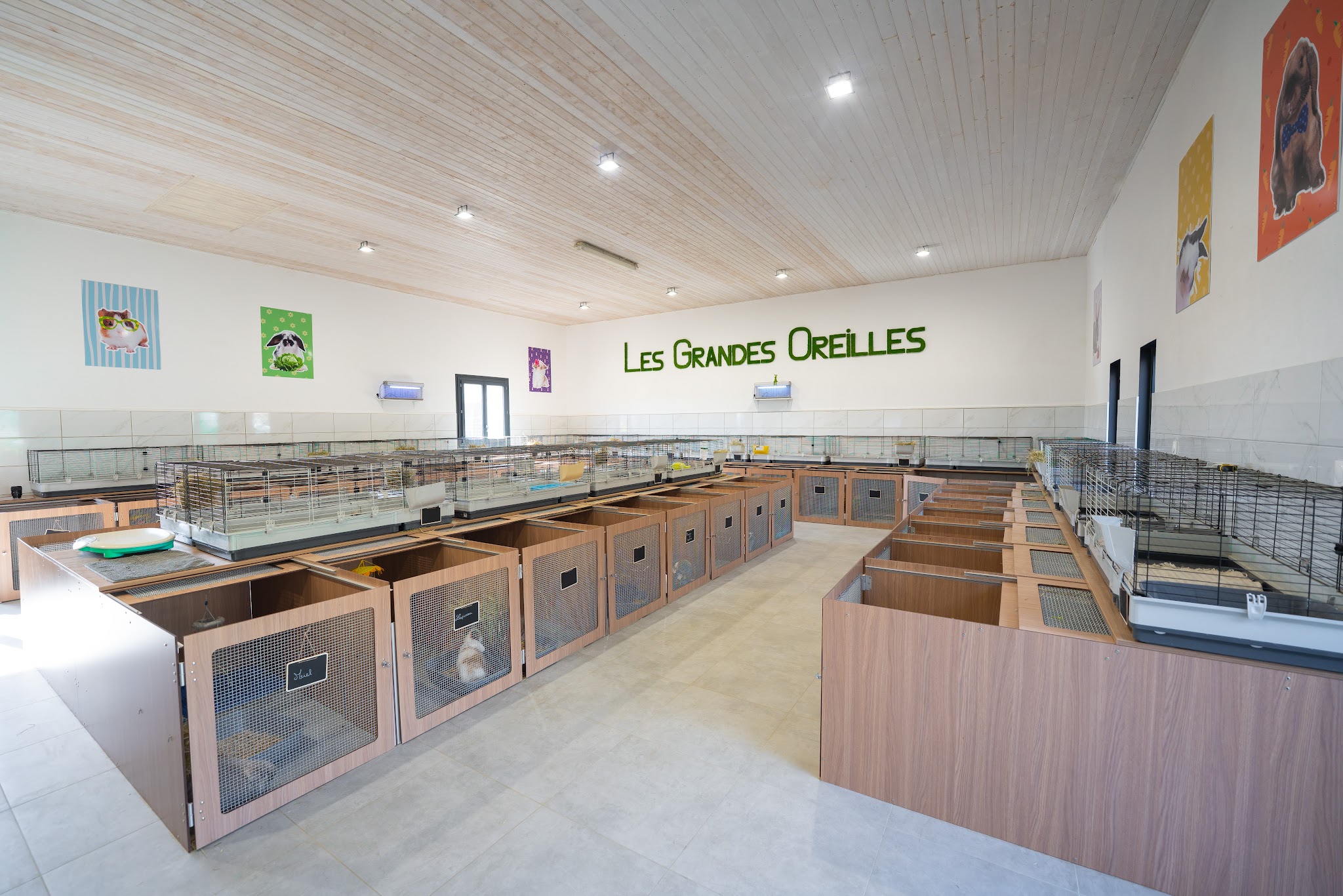 Les Grandes Oreilles Pension