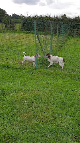 Pension canine, toilettage. Au Charme Canin