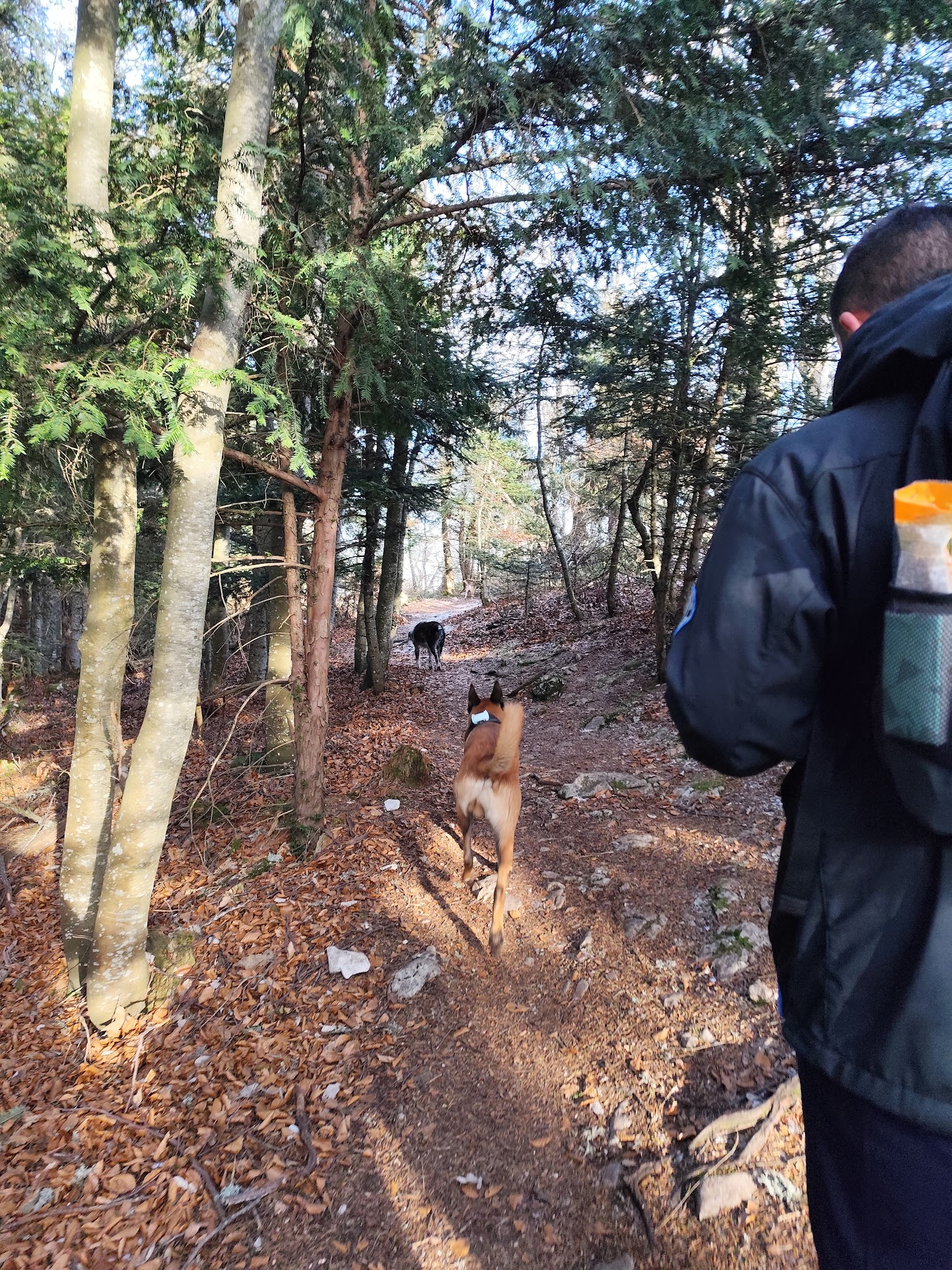 Pattes m'en 5 — photo
