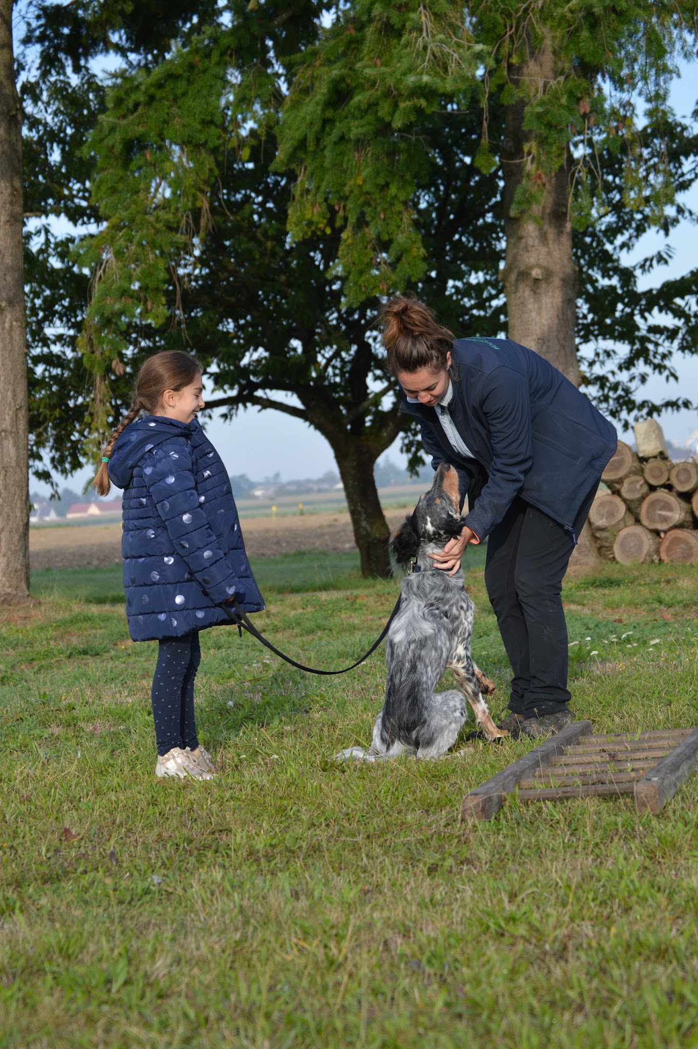 Com' Educ Pension et Education canine — photo