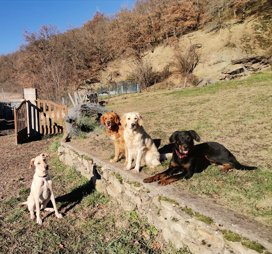 Pension (familiale) CatNacDog’s