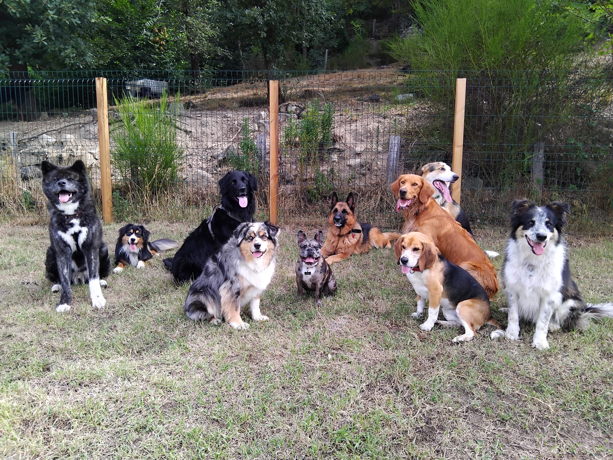 Pension (familiale) CatNacDog’s — photo