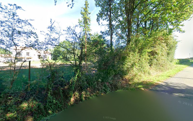 Toutourisme pension canine