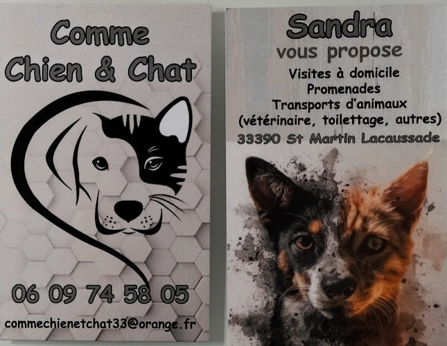 Pet-sitter Comme Chien & Chat