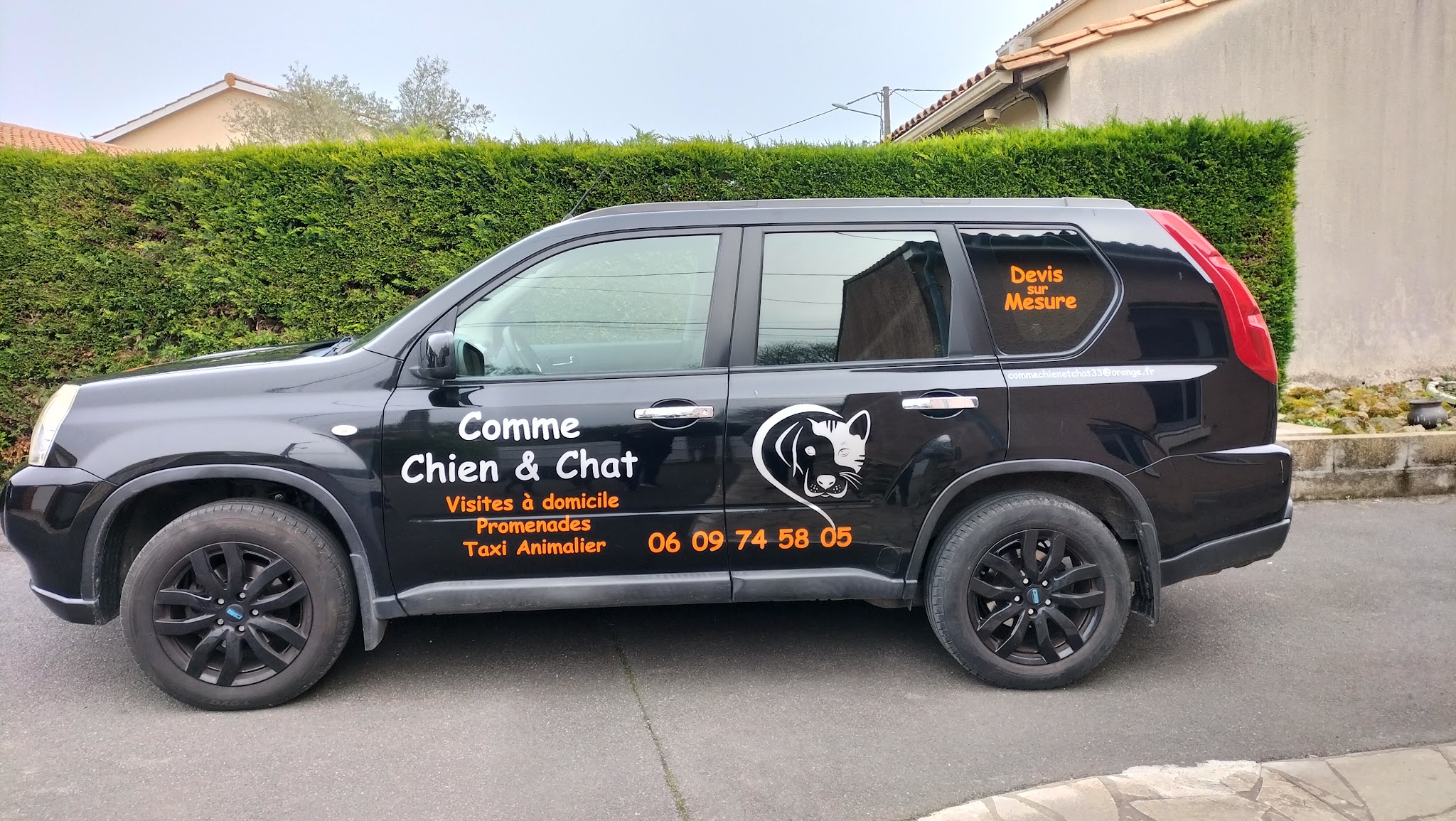 Pet-sitter Comme Chien & Chat — photo