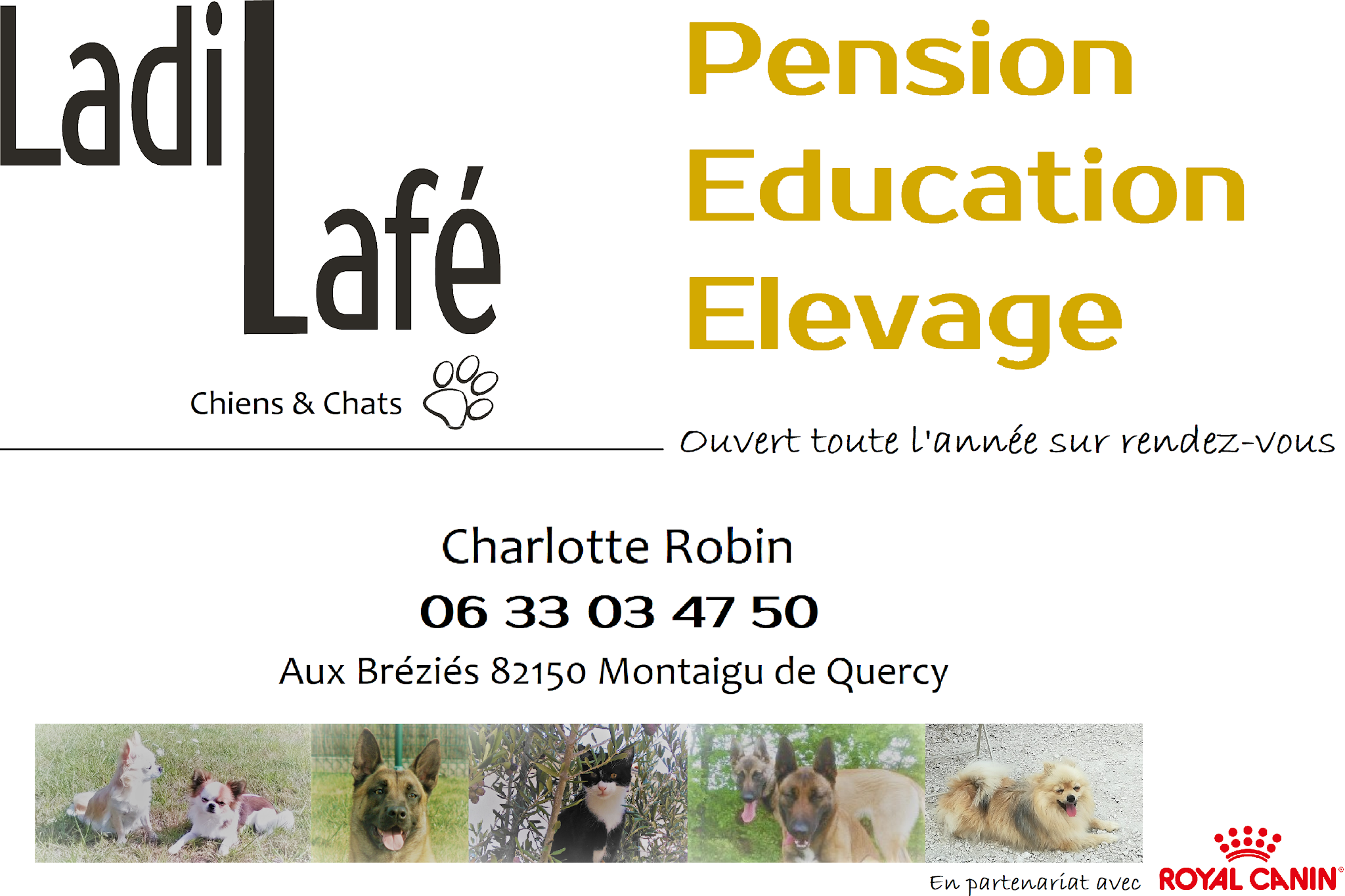 Pension canine et féline Ladi Lafé — photo