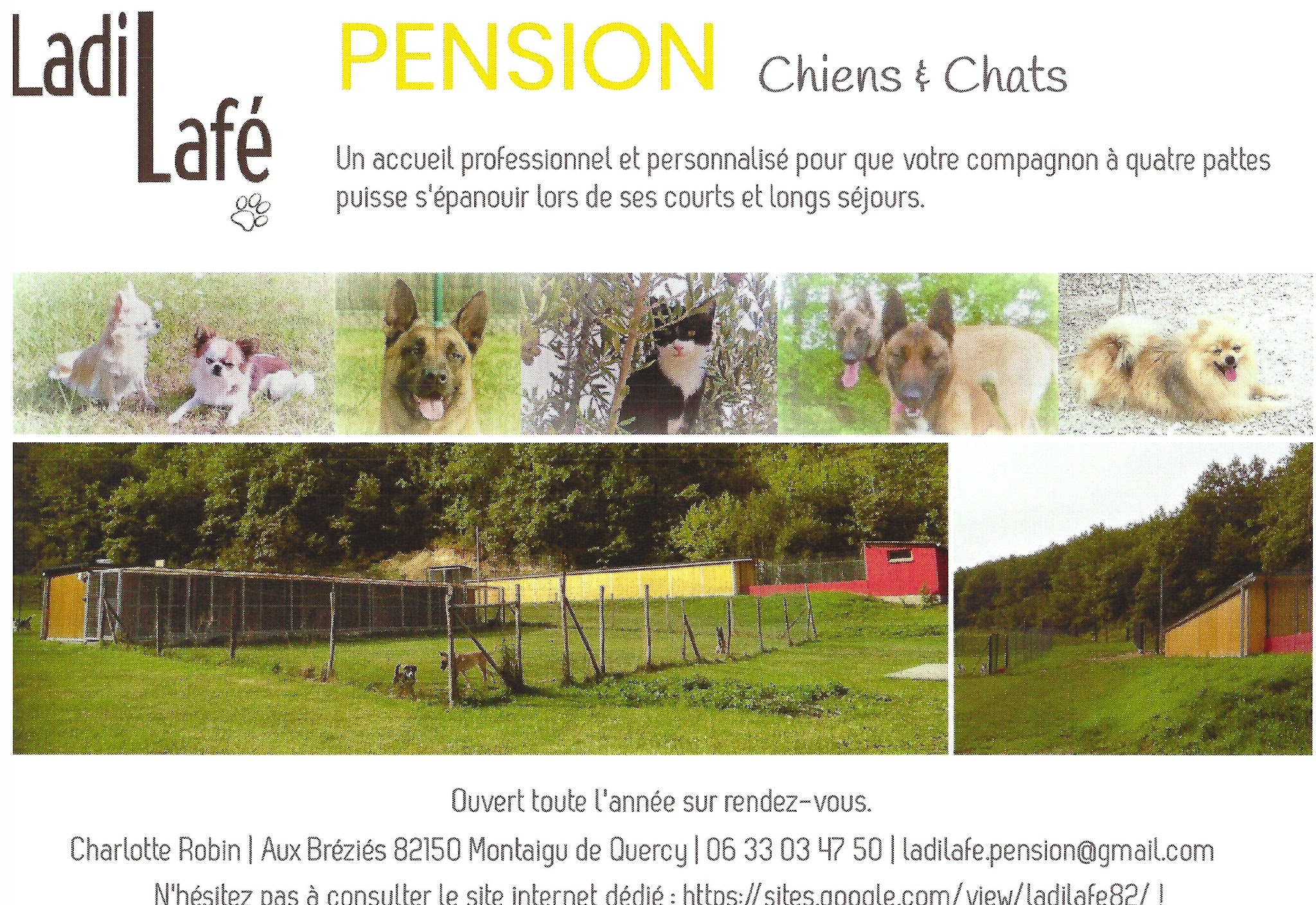 Pension canine et féline Ladi Lafé — photo