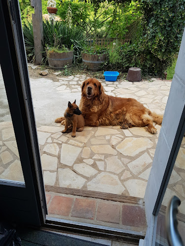 Des Pres Magres