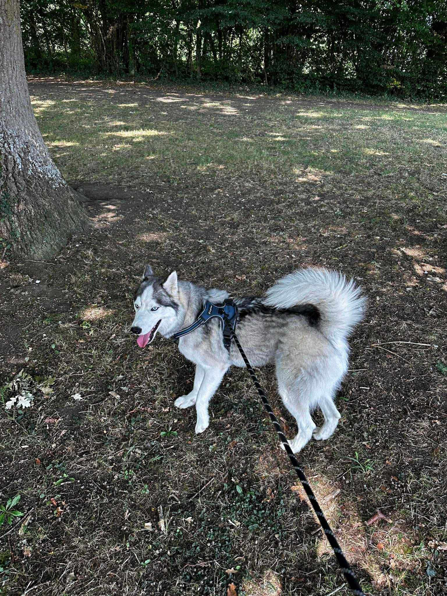 Océ'canin — photo