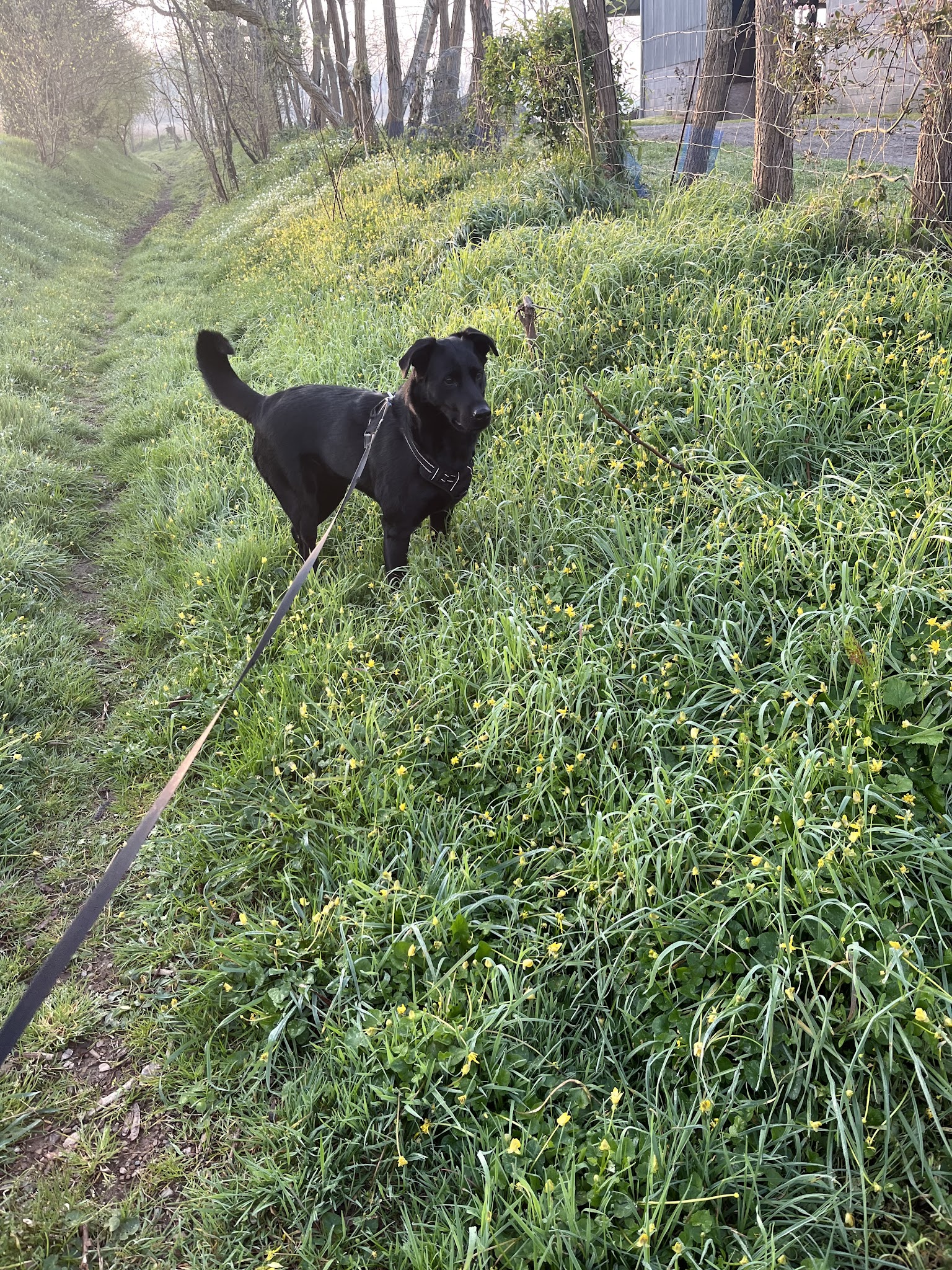 Océ'canin — photo