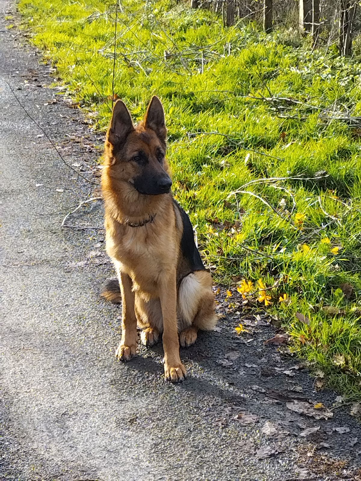 Océ'canin