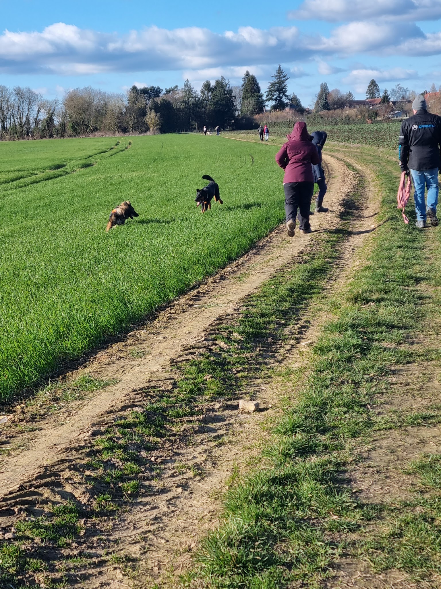 Cend et une patte — photo