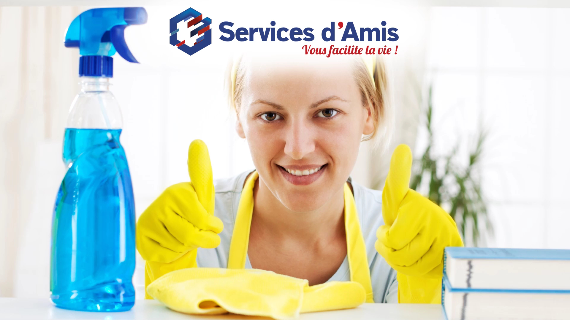 Services d'Amis - Ménage/Repassage/Garde d'enfants/Jardinage/Aide Animalière — photo