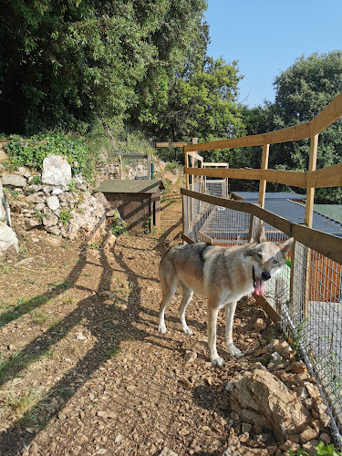 LE CAMPING DES TOUTOUS
