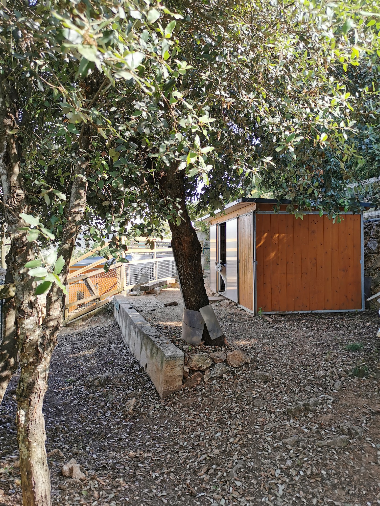 LE CAMPING DES TOUTOUS — photo