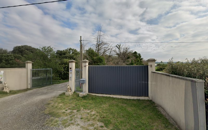 Des Terres d’Harmony - Centre canin