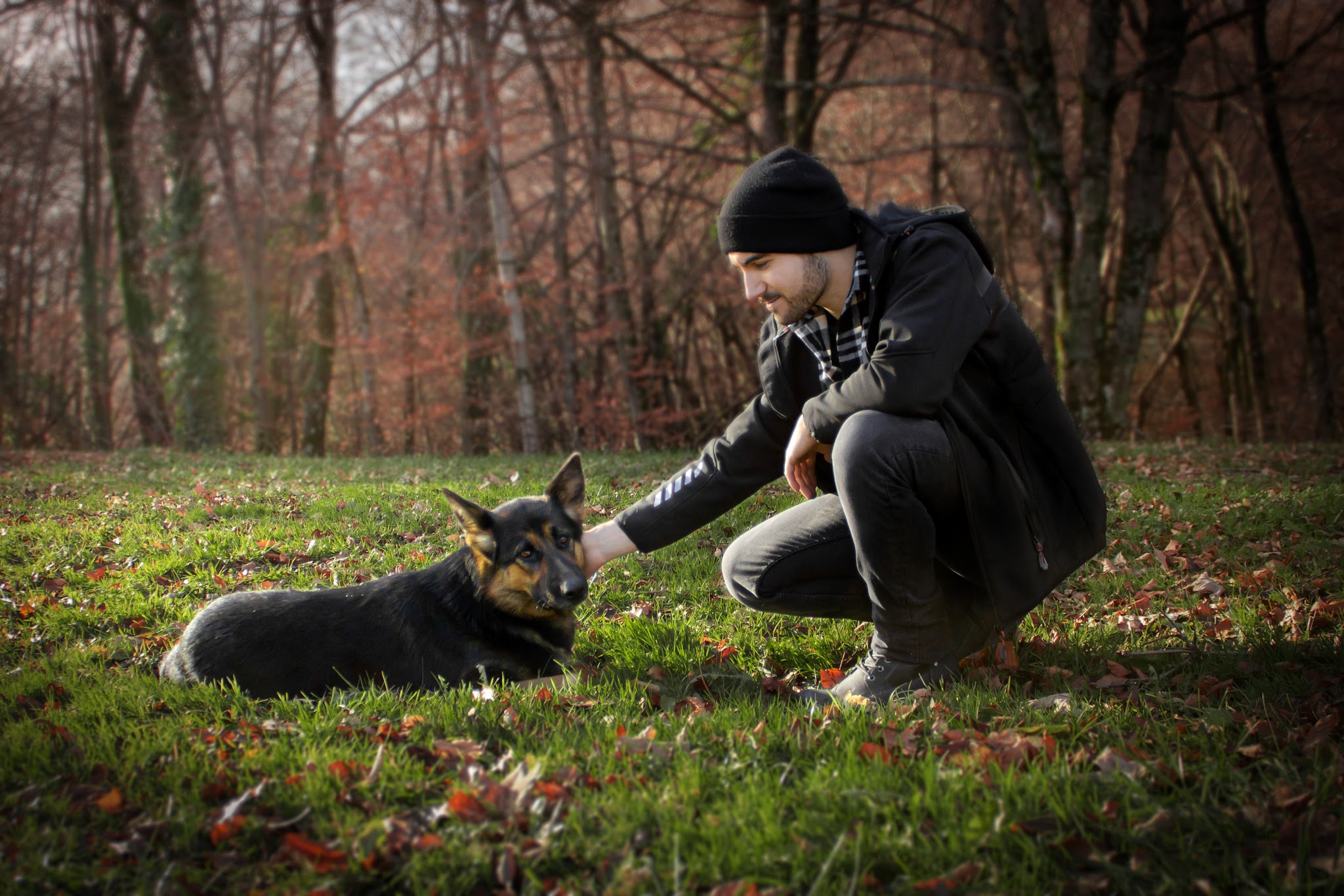 Jimmy Pet-sitter | Service professionnel de garde pour animaux de compagnie — photo