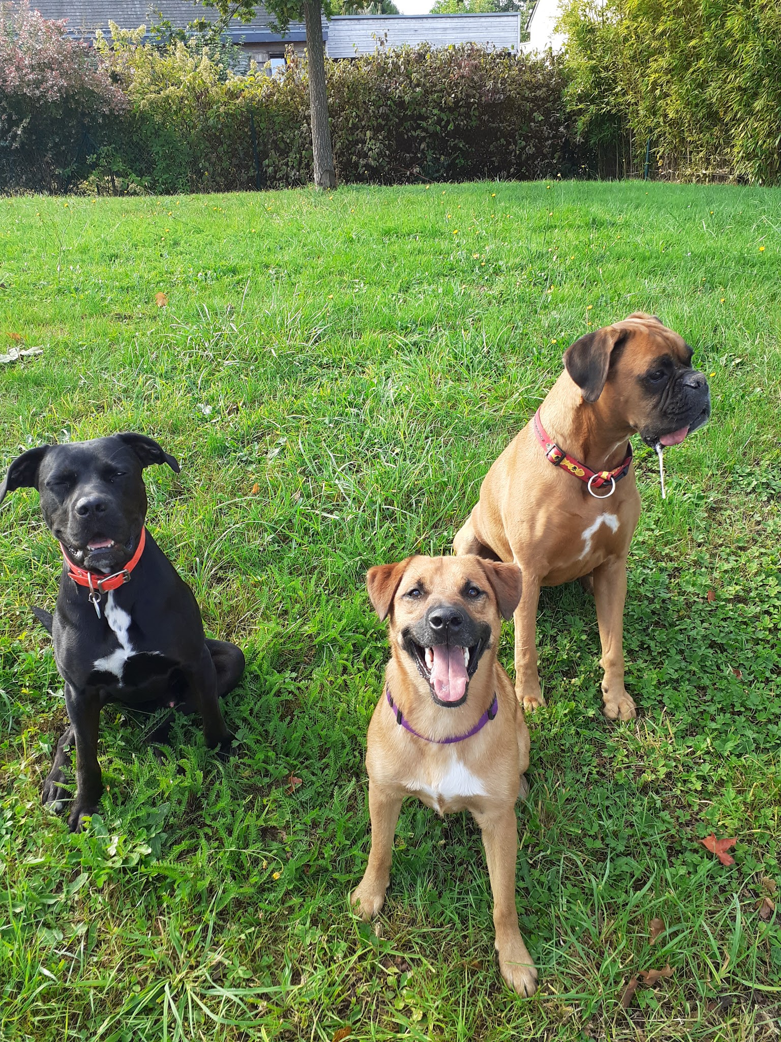 L'Empreinte Petsitting — photo