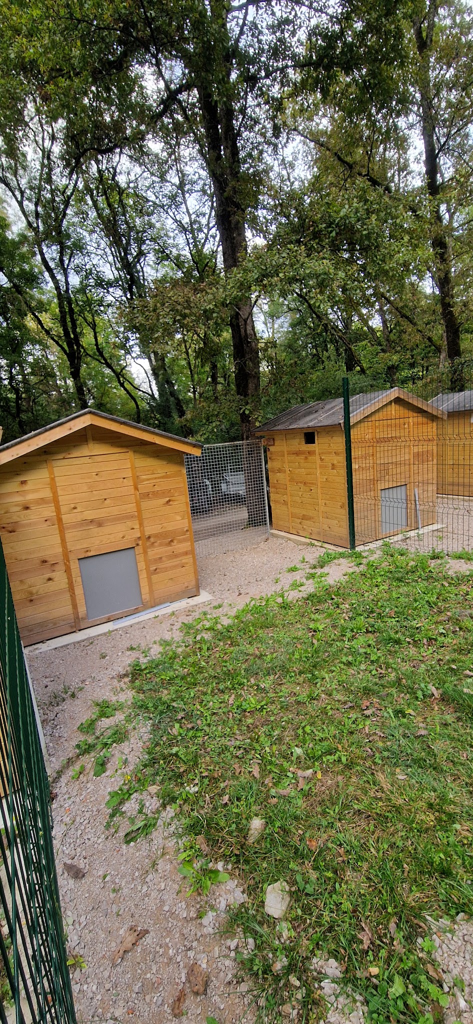 Pension canine Les chalets des zouzous