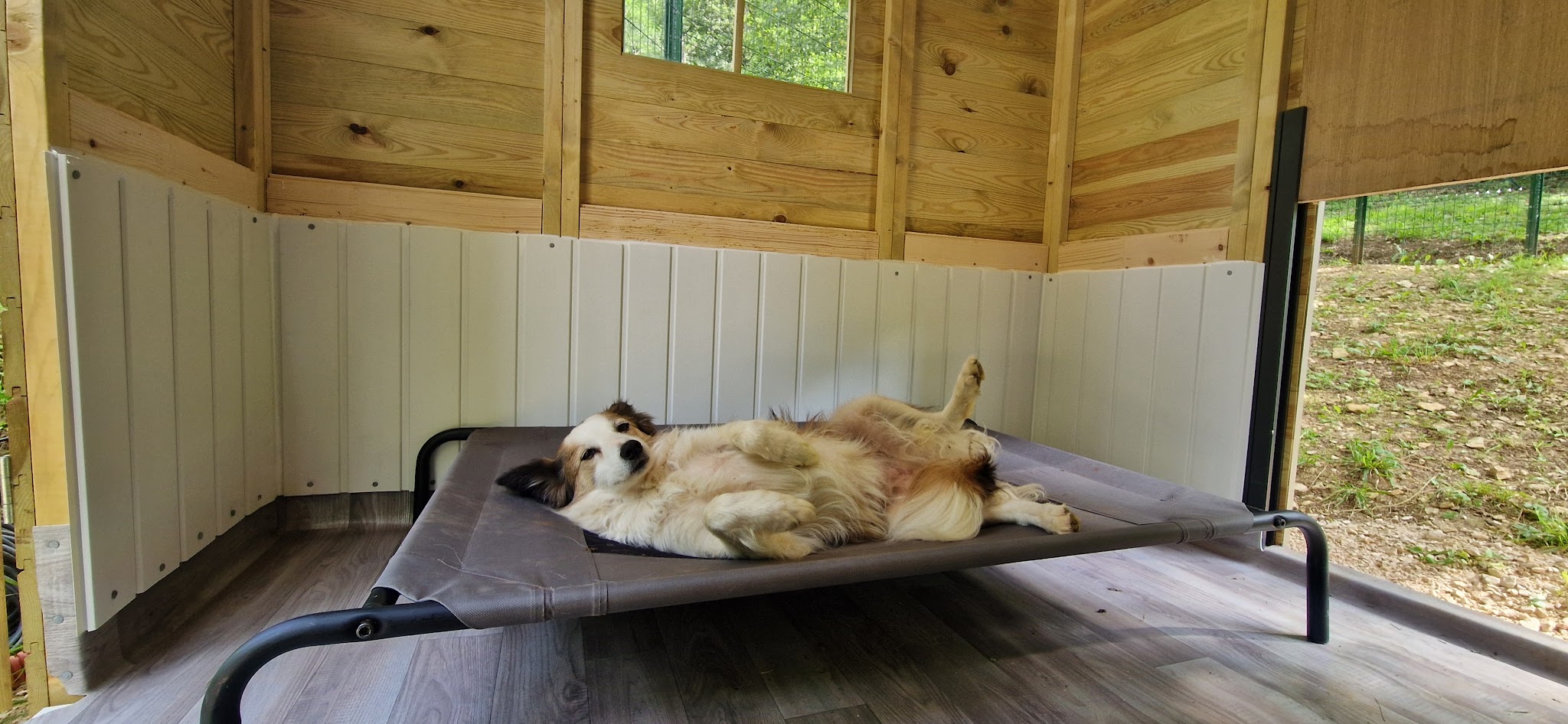 Pension canine Les chalets des zouzous — photo