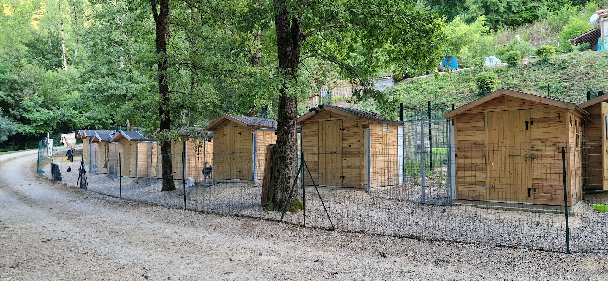Pension canine Les chalets des zouzous — photo
