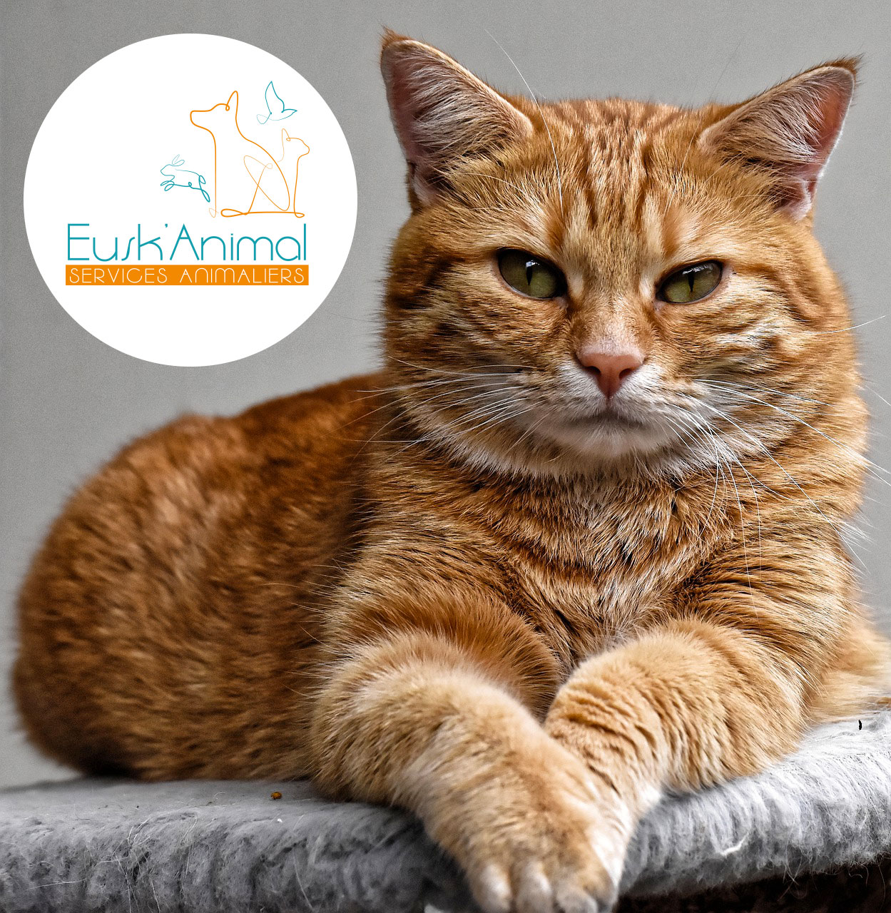 EuskAnimal — photo