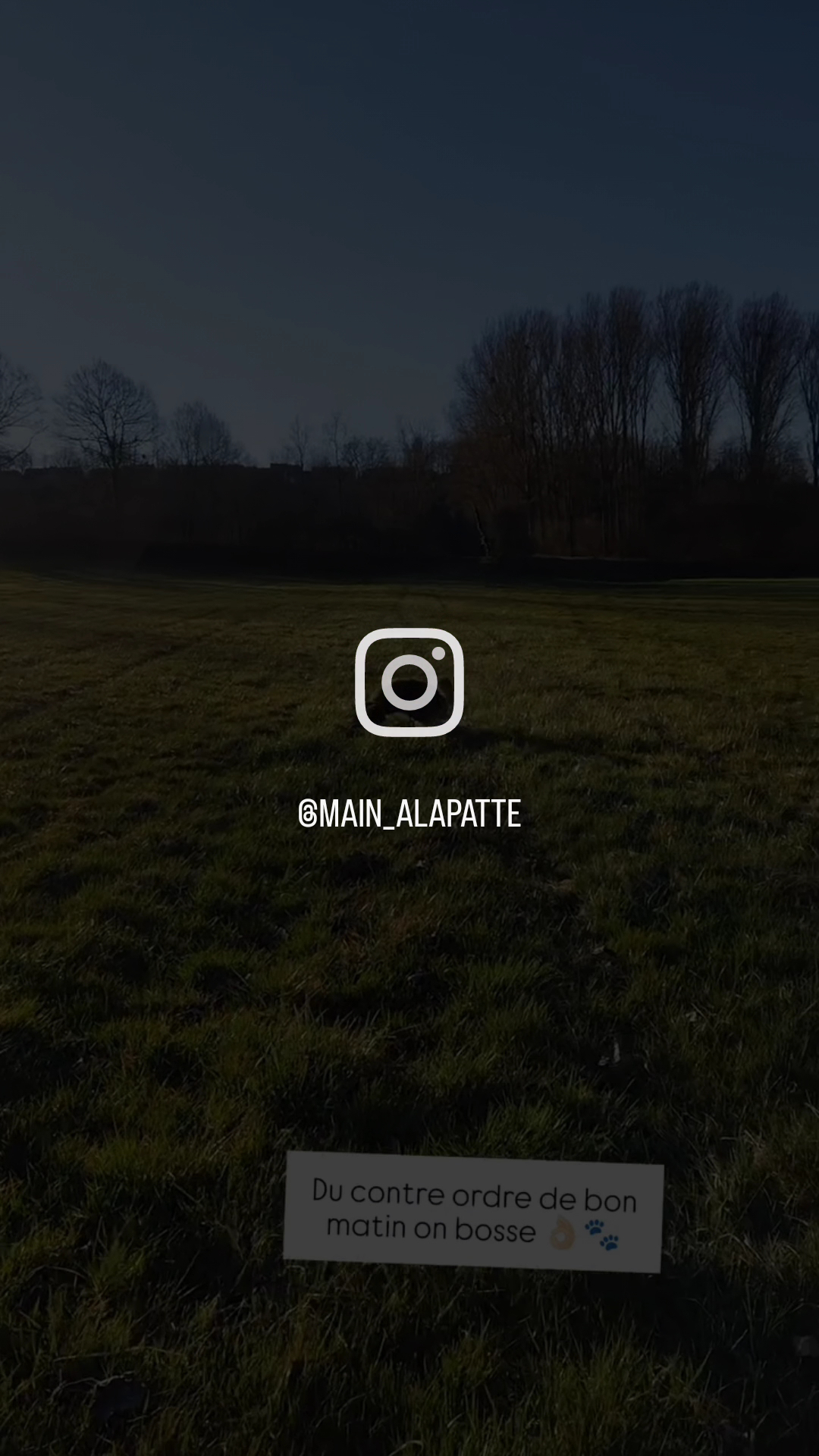 Main à la patte — photo
