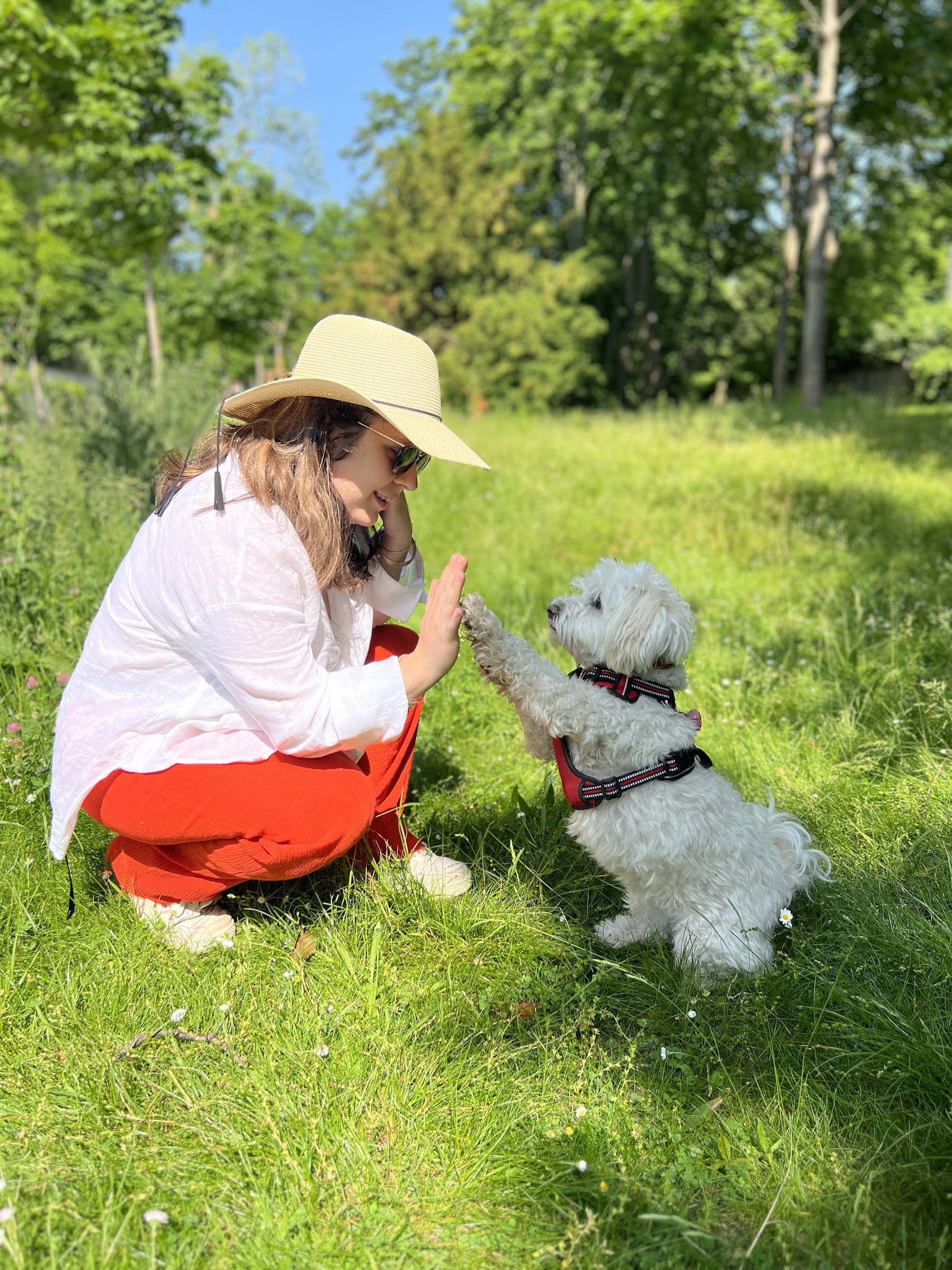 Dogs Friends - Éducation, Comportement canin, Pension, Balade — photo