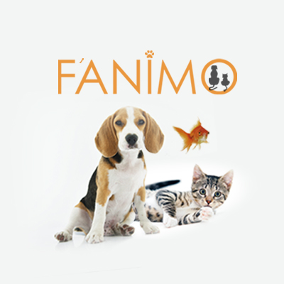 F'animo - Pension canine, visites à domicile. — photo