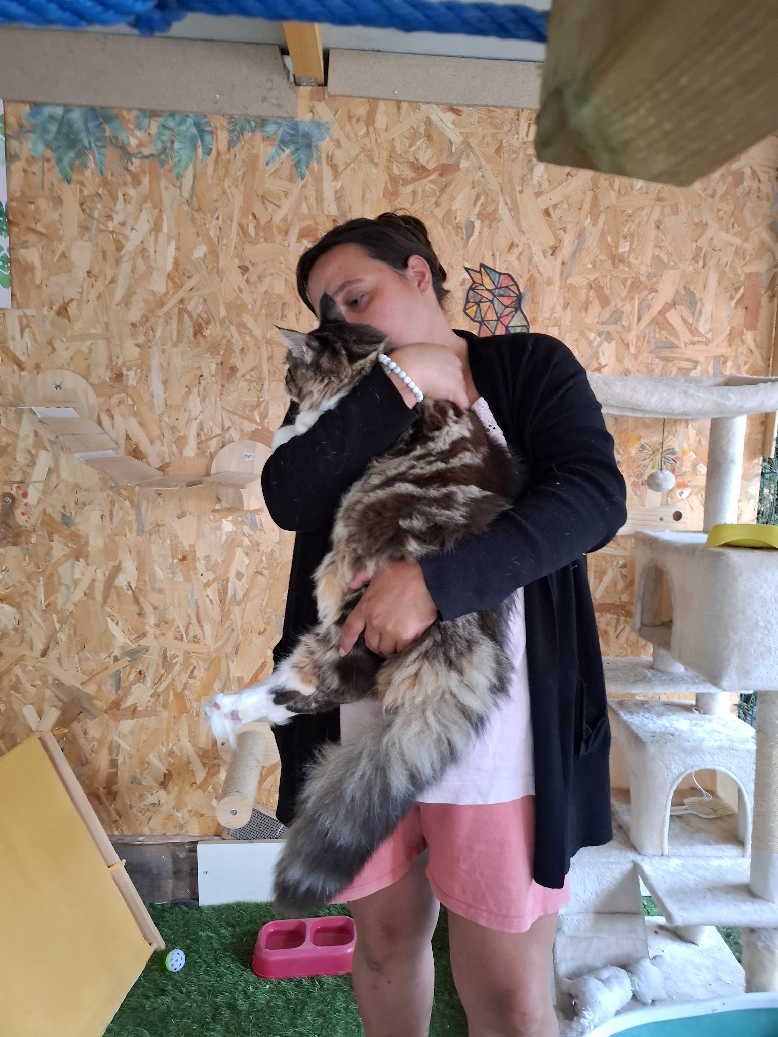 P.A.L.P. Pension pour chiens et chats — photo