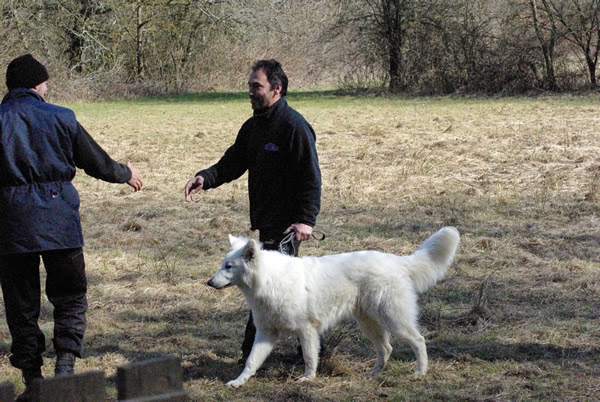 Prestachiens – Éducation canine à Vesoul & pension chiens à Port-sur-Saône — photo