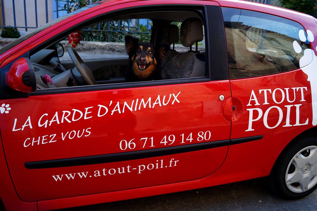 Atout poil — photo