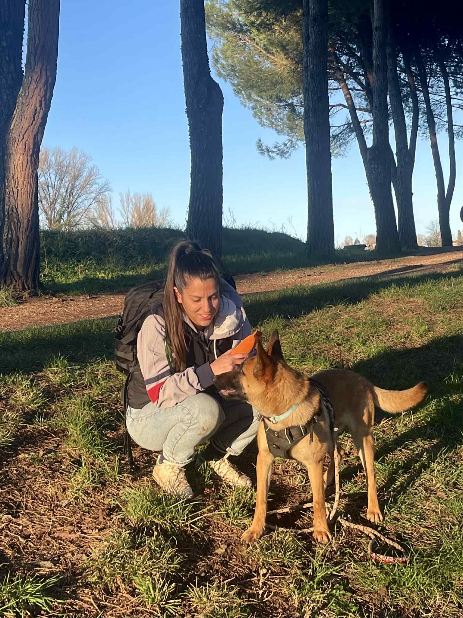 FOCUS CANIN — photo