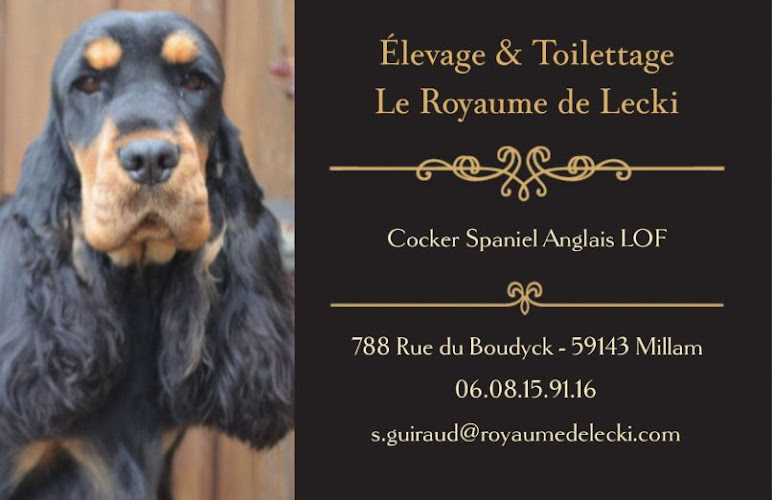 Élevage & Toilettage : Le Royaume de Lecki