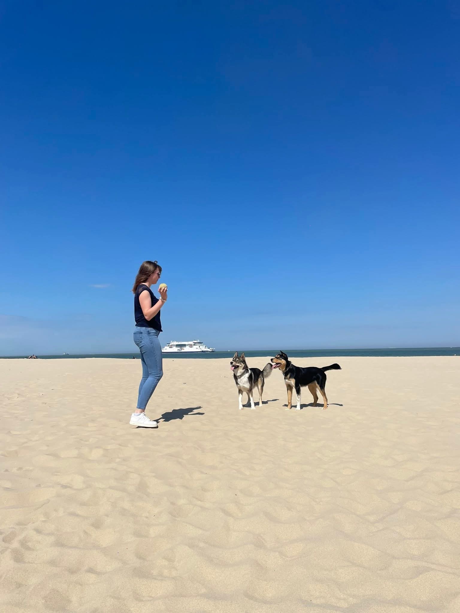 Lol’Animaux — photo