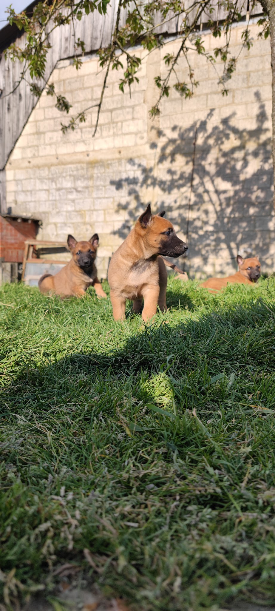 Pension à la Ferme — photo