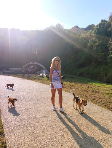 PatPatronne Dogsitting - Education canine
