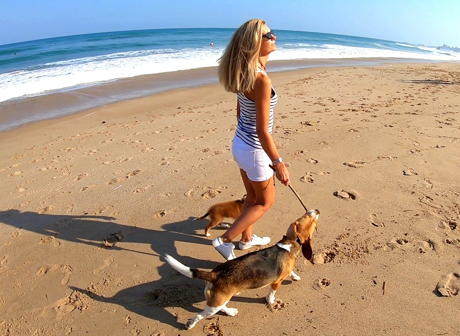 PatPatronne Dogsitting - Education canine — photo