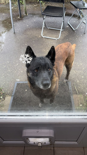 Chez Georgette Pension Canine Familiale