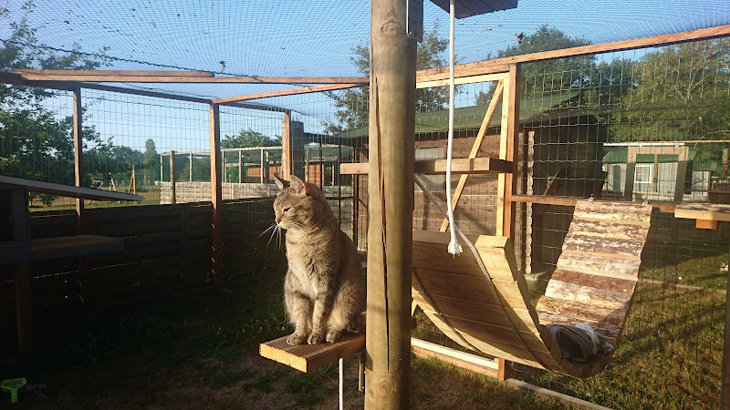 Pension chiens et chats "Les chalets de la Jolie"