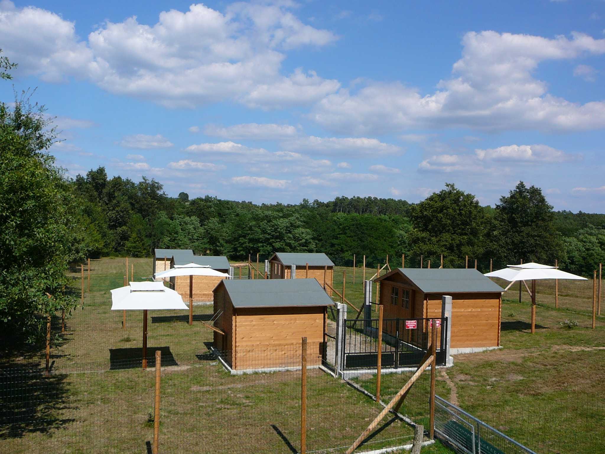 Pension chiens et chats "Les chalets de la Jolie" — photo