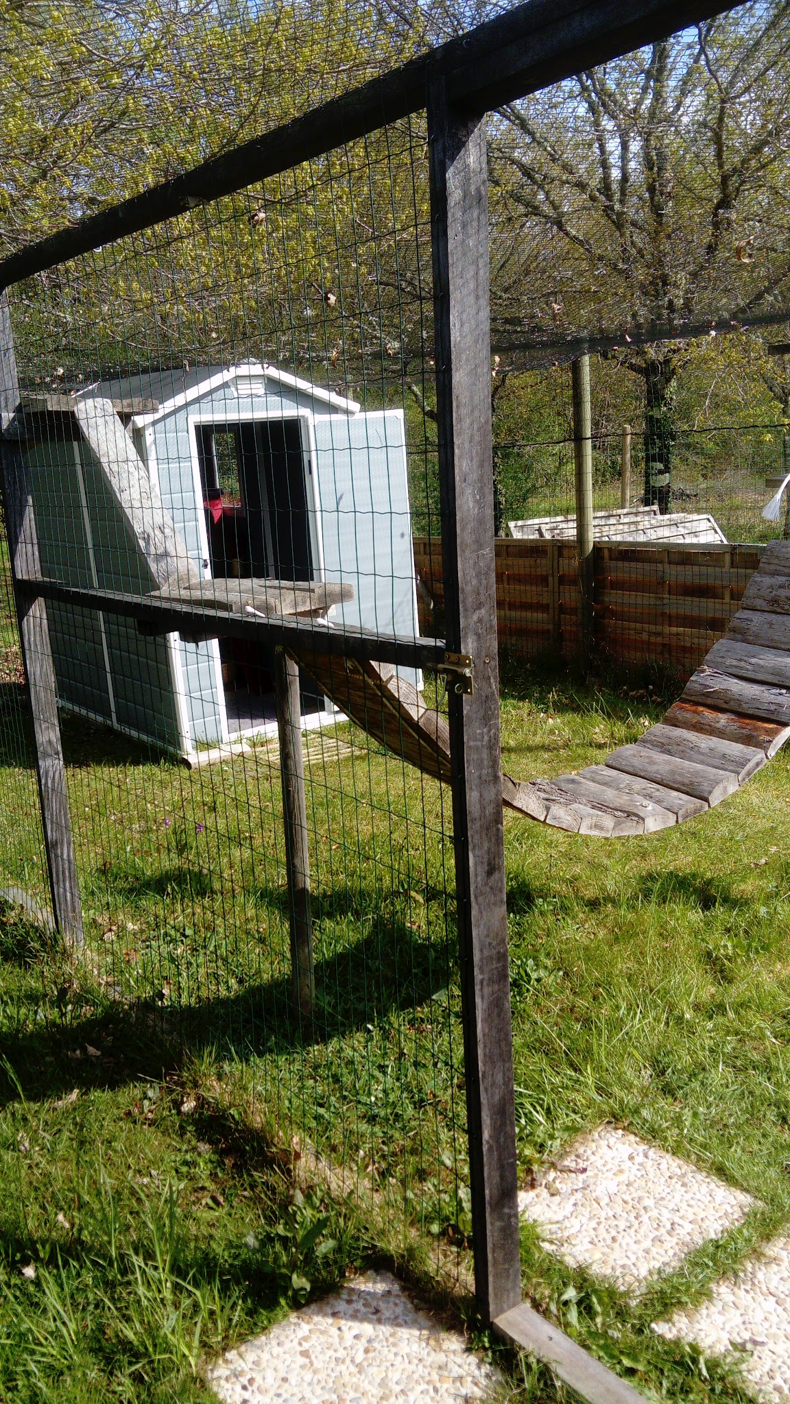 Pension chiens et chats "Les chalets de la Jolie" — photo