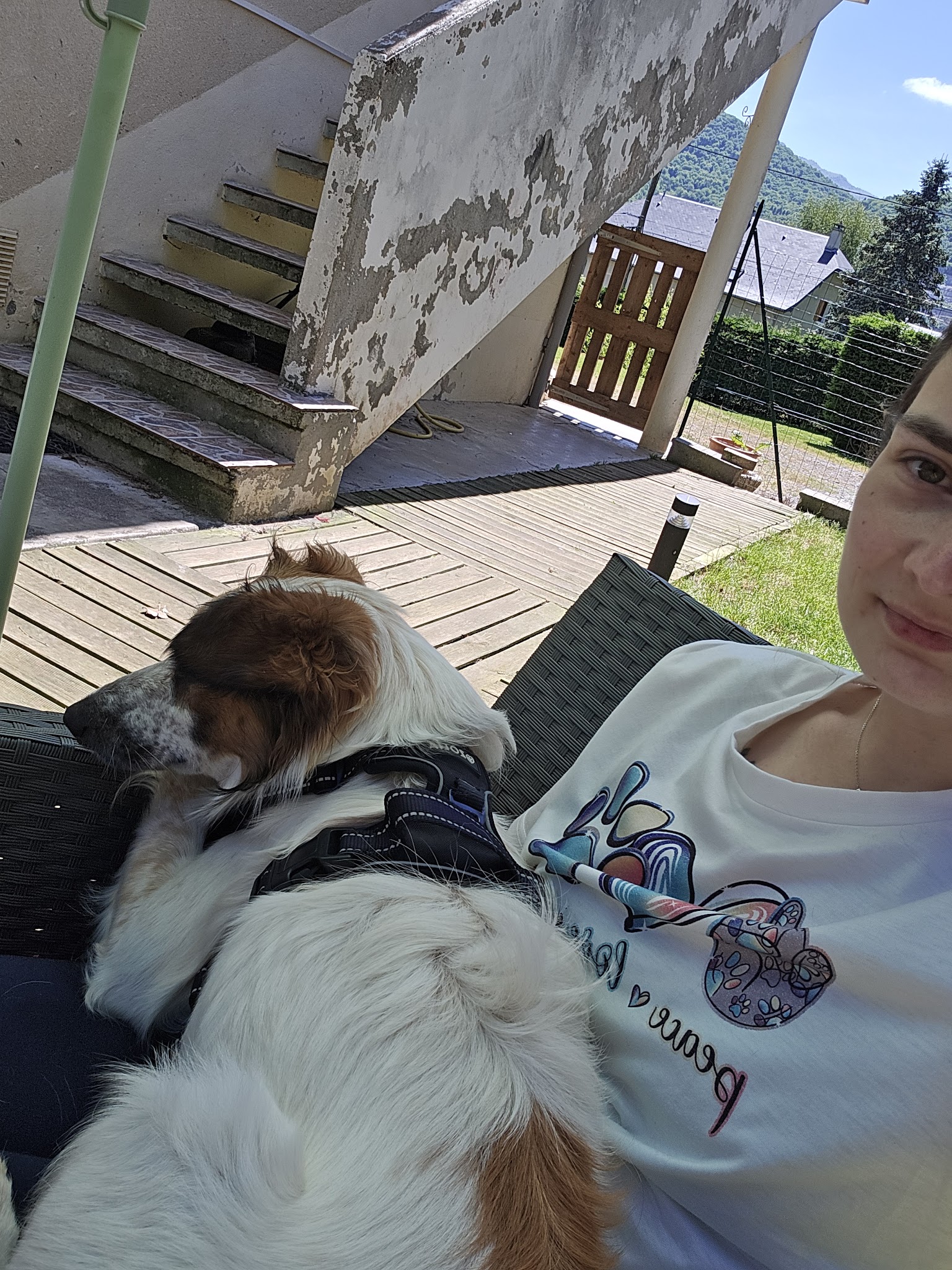 Un Amour de Chien — photo